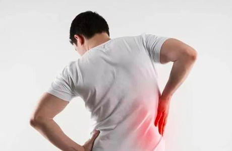 6月12日-14日 整體生物力學之腰背疼痛徒手評估